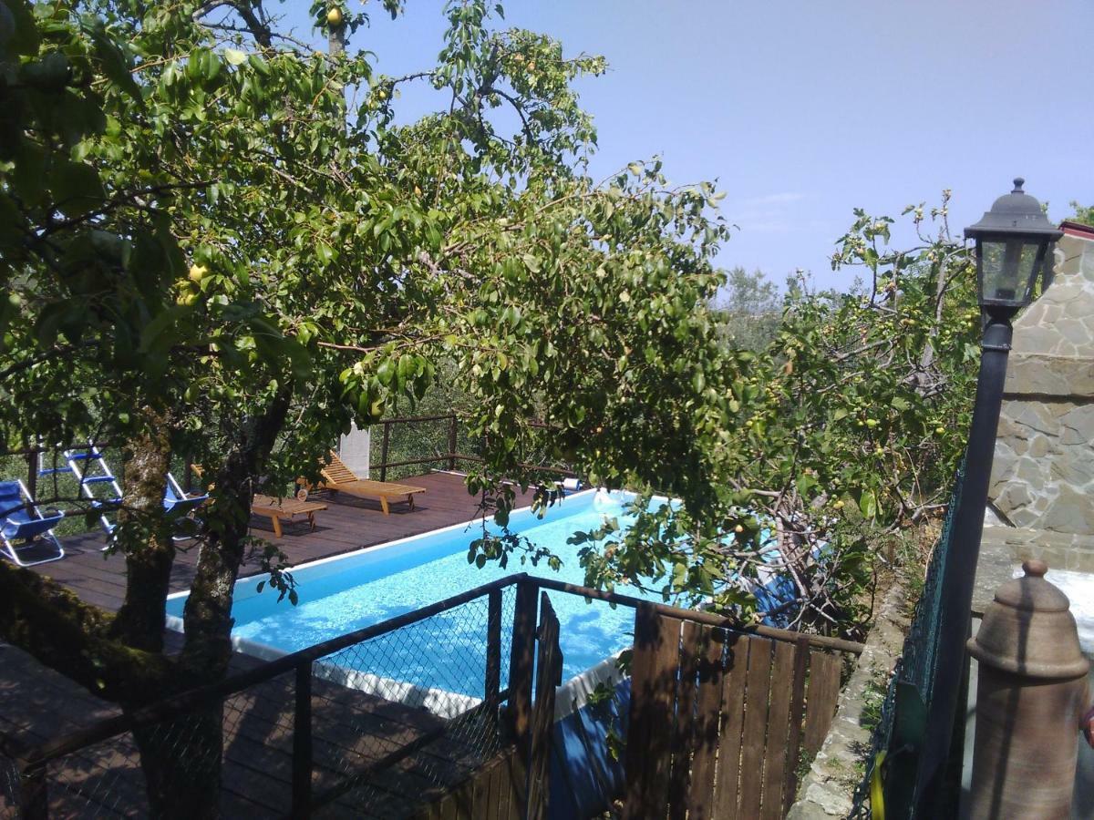 Country House Near Florence Guest House Exterior foto