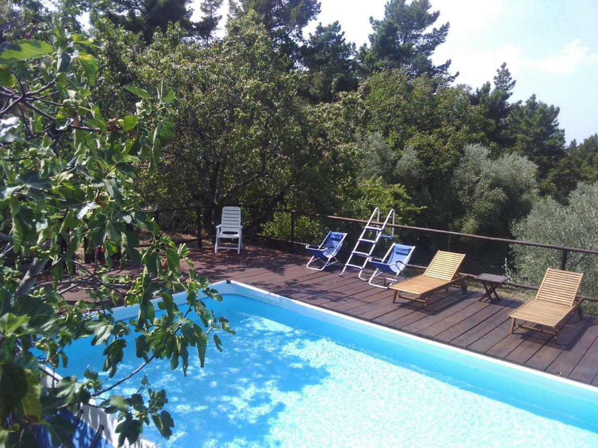 Country House Near Florence Guest House Exterior foto
