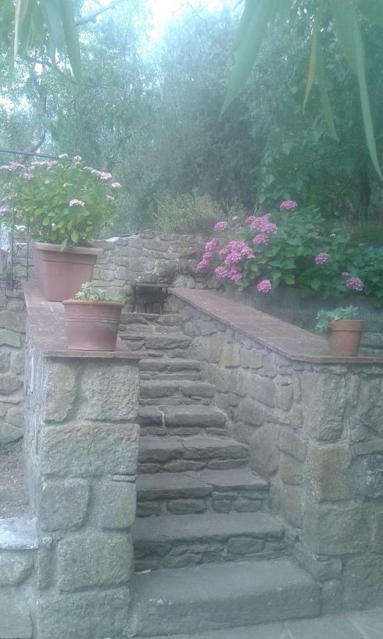 Country House Near Florence Guest House Exterior foto